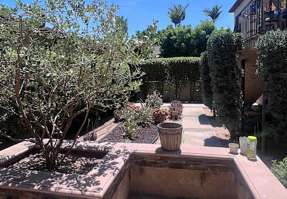 a view of the garden from the patio