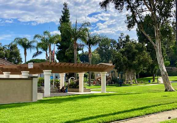 a park with grass and trees