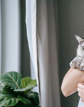 a man holding a cat in his arms