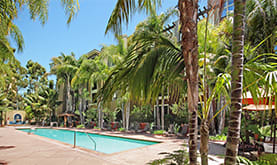 a swimming pool surrounded by palm trees at The Promenade Rio Vista, California