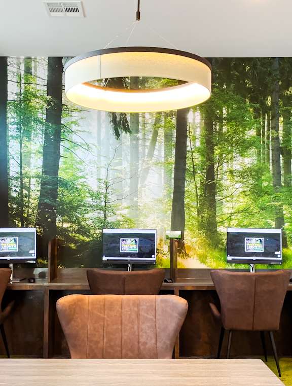 A conference room with a large mural of a forest on the wall and four computers on desks.