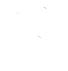 Property Logo at Serenity Place Central, Tallahassee, FL, 32304
