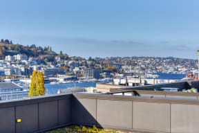 Rooftop View of Ocean, Building Exteriors and Trees