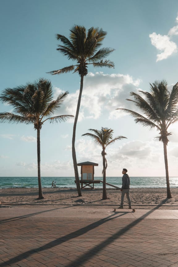 a man walking on the beach with palm trees