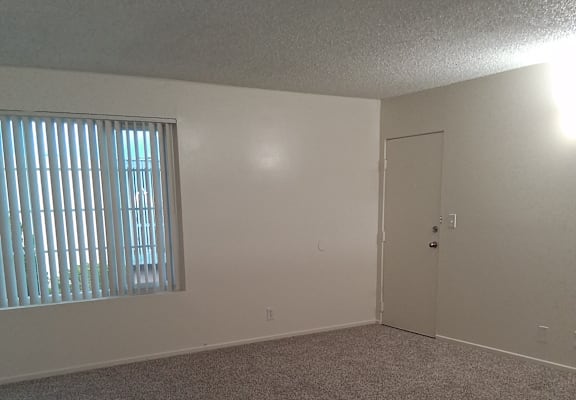 A room with a carpeted floor, a window with blinds, and a door.