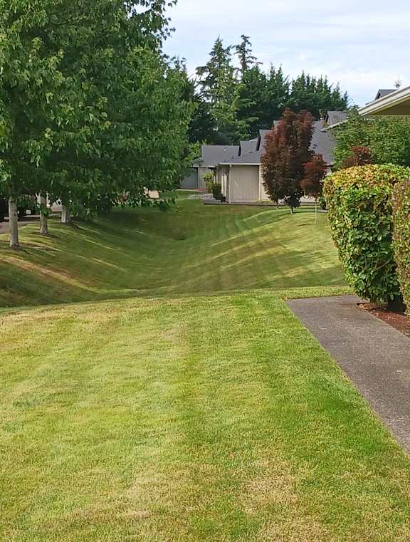 A well-maintained lawn leads to a house.