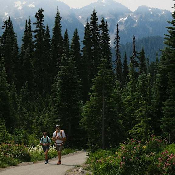 Two people walking on a path in a forest with mountains in the background.