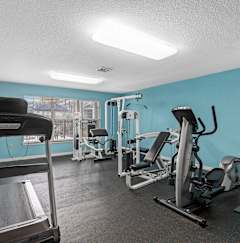 A gym with a treadmill, weights and exercise balls at Oak Chase I, Tampa, FL