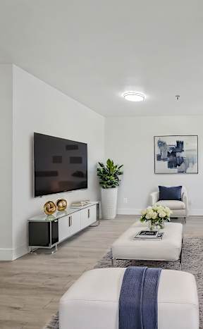 A living room with a white couch, a television, and a plant.