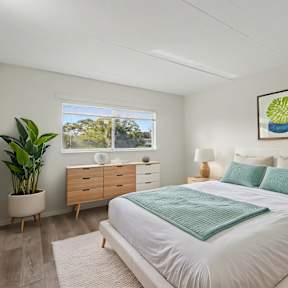 A bedroom with a large bed, a dresser, and a potted plant.