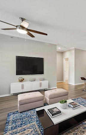 A living room with a brown couch and a blue rug.
