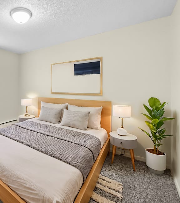 A bedroom with a large bed, a ceiling fan, and a potted plant.
