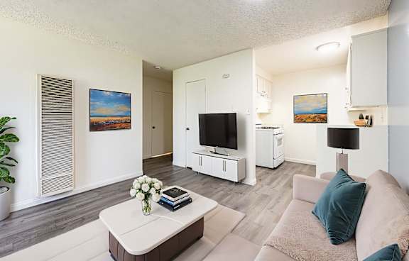 A living room with a couch, a coffee table, and a television.