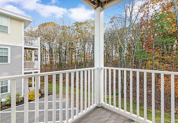 A white railing overlooks a forest of trees.