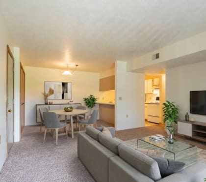A living room with a grey couch and a glass coffee table.
