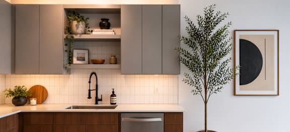 A modern kitchen with a tree in a pot.