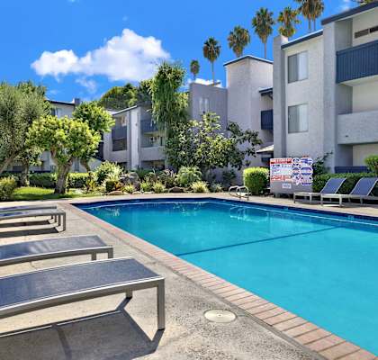 A pool surrounded by lounge chairs and trees.