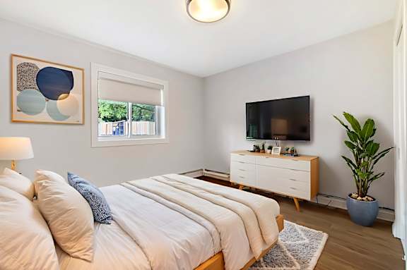 A bedroom with a large bed, a television, and a plant.