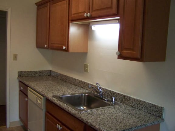 kitchen counter and sink