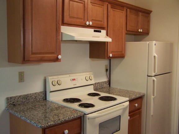 kitchen counter, stove and refrigerator