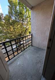A staircase with a metal railing leads up to a tree.