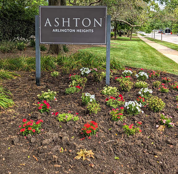 A sign that says Ashton Arlington Heights stands in a flower bed.