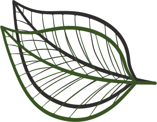 a tennis net with a ball in it illustration