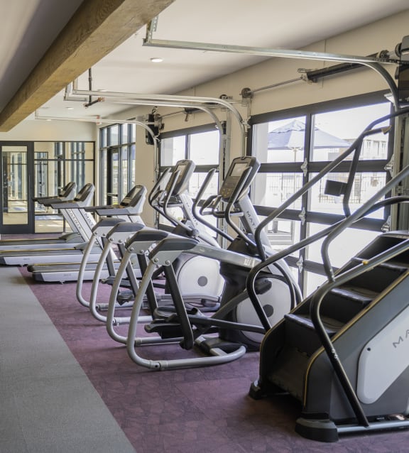 a row of cardio machines in a gym at Preston Ridge, Hickory