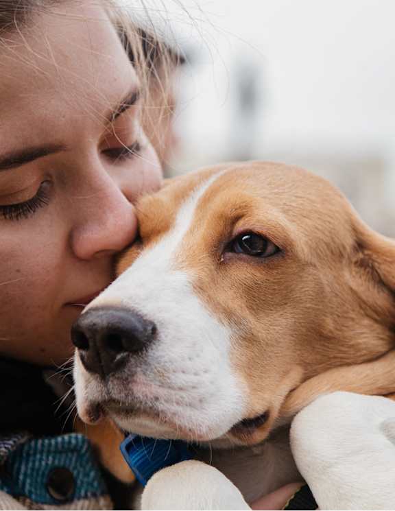 A woman is hugging a dog with a blue collar.