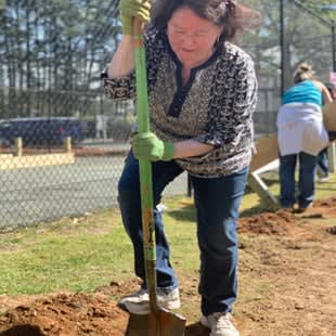 a woman is planting a tree in the dirt