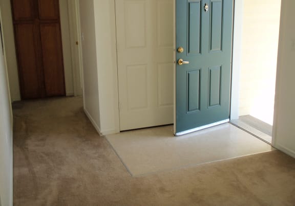 Image of an open door to the outside with small closet behind it