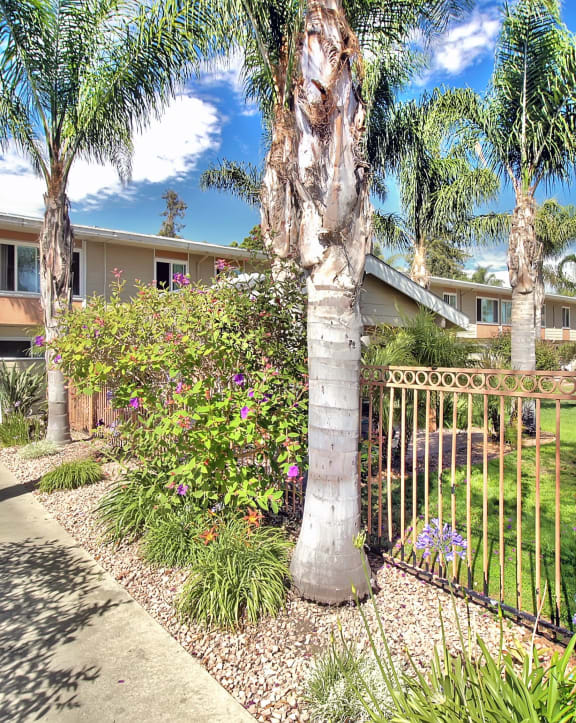 Secure Fenced Courtyard at Latham Court, Mountain View, CA, 94040