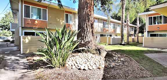 Sun Porch Courtyard at Latham Court, Mountain View, 94040