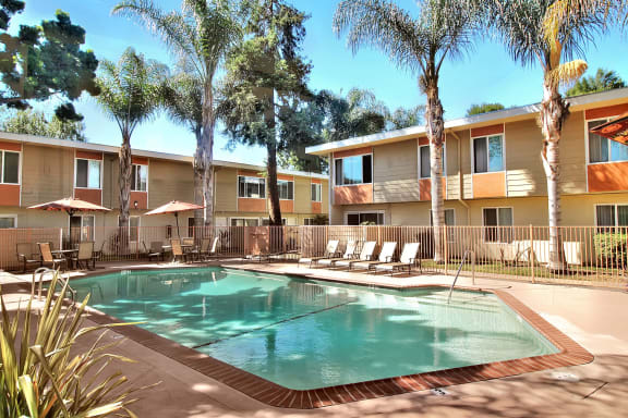 Pristine swimming pool at Latham Court, Mountain View, CA, 94040