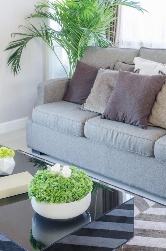 a living room with a grey couch and a black and white coffee table with a green plant
