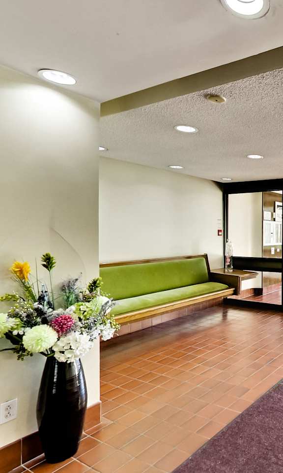 a lobby with a purple rug and a green couch