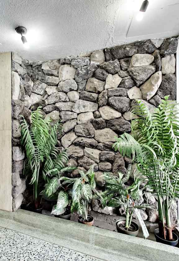 a stone wall with plants in the lobby of a building