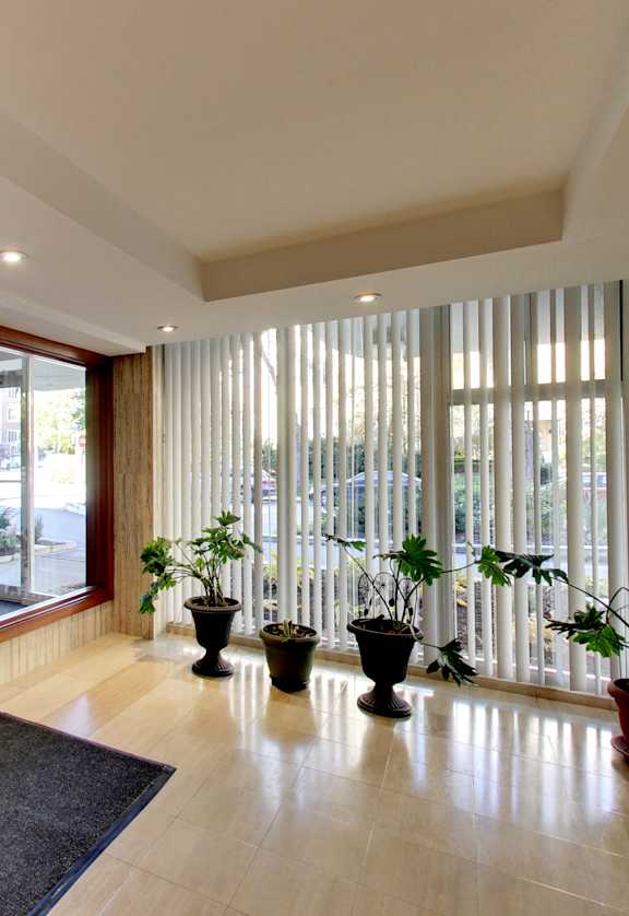 A hallway with a black rug and three potted plants.