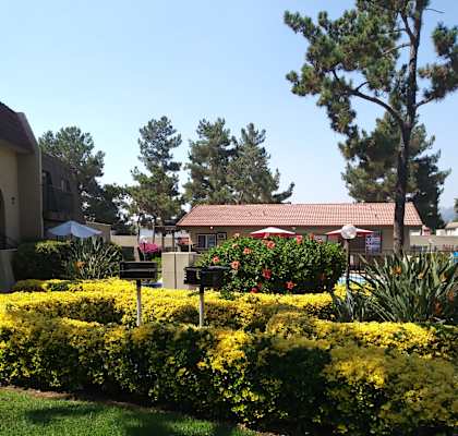 an aerial view of a building with a tree in the foreground