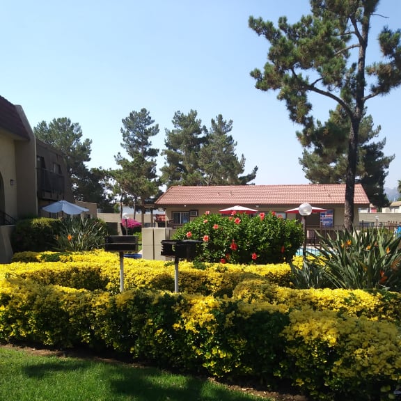 an aerial view of a building with a tree in the foreground