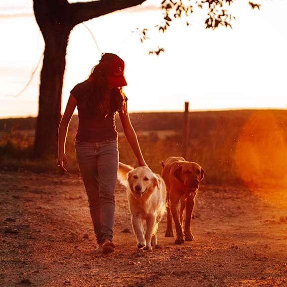 a woman walking two dogs down a dirt road