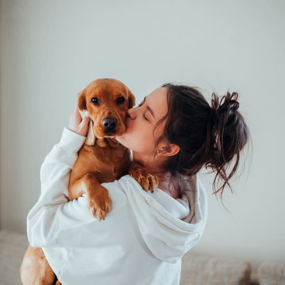 a woman kissing a small brown dog on her cheek