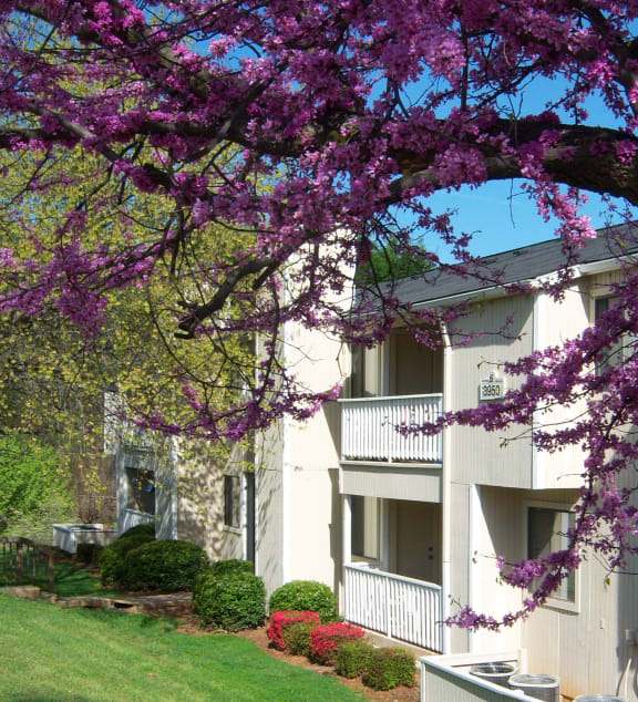 the building where the motel is located