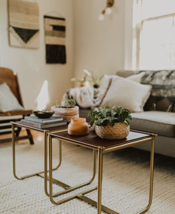 Two end tables in front of a couch with books and plant