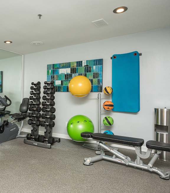 A gym with a variety of equipment including weights, exercise balls, and benches.