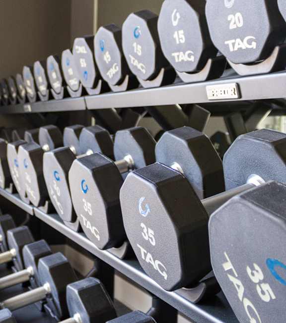 A rack of black dumbbells with blue and white tags indicating different weights. at Viridian Apartments LLC Apartments, Bowling Green
