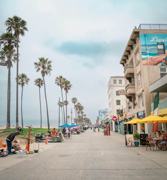 A street lined with palm trees and a Liquor store on the right.