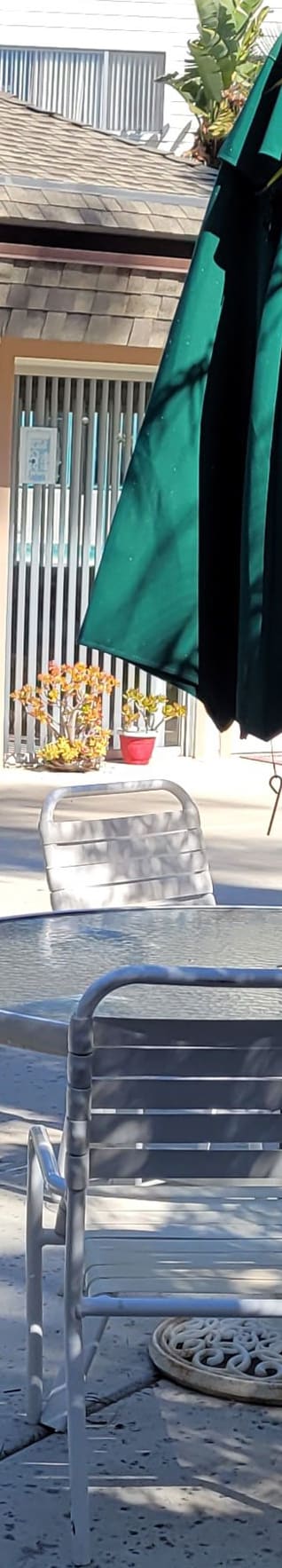 a bench with a green umbrella in front of a building