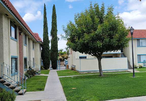 a sidewalk with a tree on one side and a building on the other