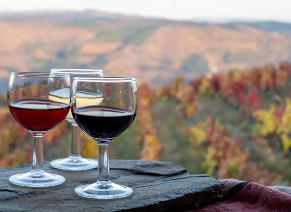 Close Up View of Wine Glasses